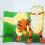 Arcanine Practice