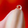 Red Droplet..