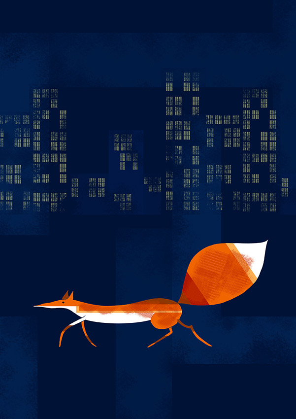 Urban Fox