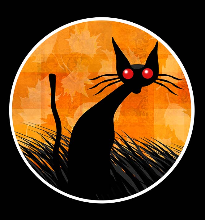 Witches Cat by scratchproductions on DeviantArt