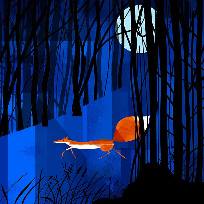 Midnight Fox Rabbit Midnight Fox by scratchproductions on DeviantArt