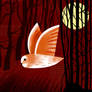 Barn Owl