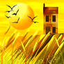 House in Sunny Field