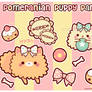 Pomeranian Puppy Party
