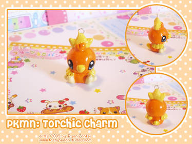 PKMN: Torchic