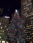 NYC at Christmas Time 5 by UltimateKeyblade4