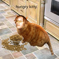 Hungry Kitty