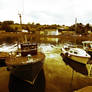 The Boats of Bantry