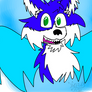 Nick the fox (gift)