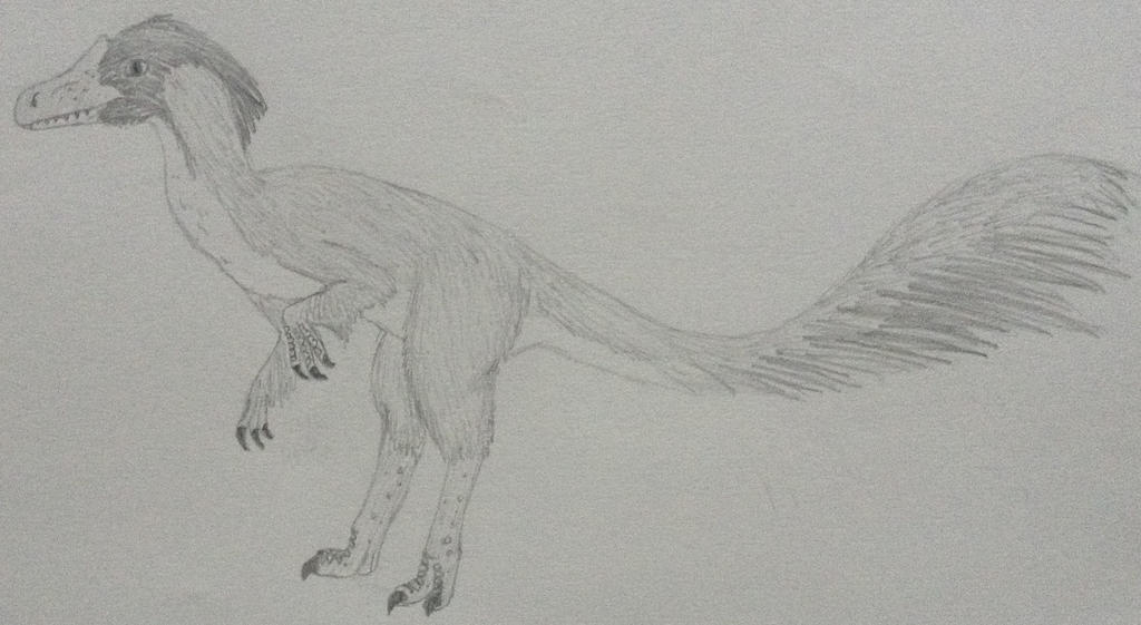 Timut Creature Timimus by ChuditchMammals on DeviantArt