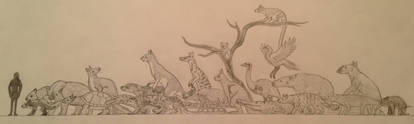 Australian Megafauna side by side