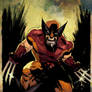 Dibari Classic Wolverine