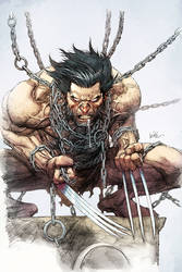 Leinil Yu Wolverine Color 4fun By Spicercolor D2g5