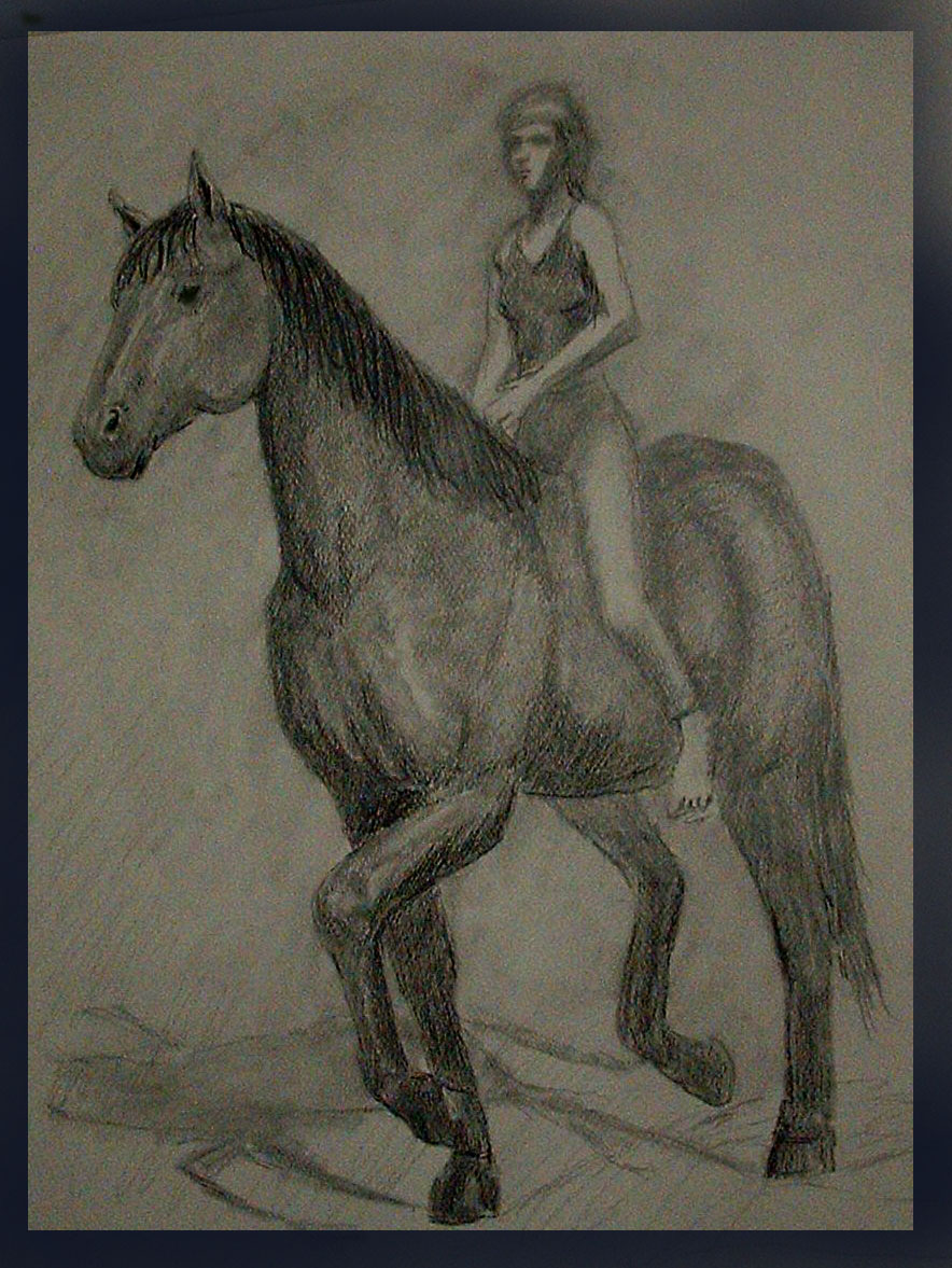 Horse  Rider sketch