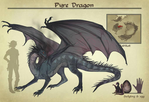 AA: Pyre Dragon