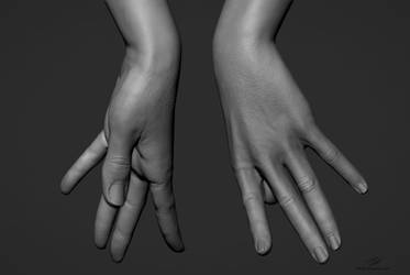 Hand Sculpts 04