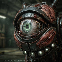 Eye of a Stranger