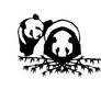 The two pandas