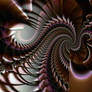 Spirals 20-06-10