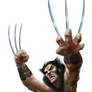 Wolverine