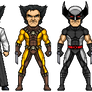 Wolverine Variants- Series 1