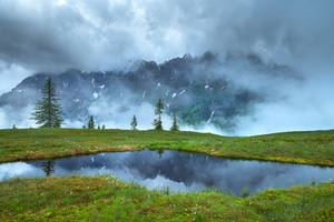 Misty Mountain