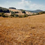 Climate Change: German Drought