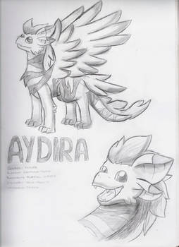 Aydira - the new design