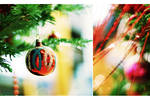All those Christmas trees... by ivya-cz