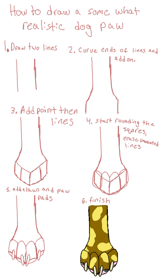 How to draw a dog paw by sandy01234 on DeviantArt
