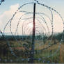 Barbed Wire Sth African Border