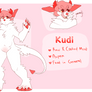 Kudi ref