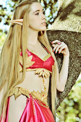 World of Warcraft Blood Elf Cosplay