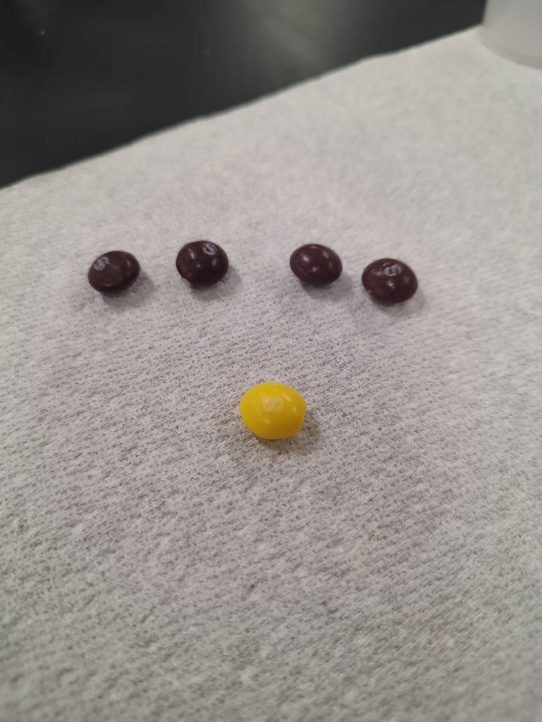 skitl by kurmitfrog on DeviantArt