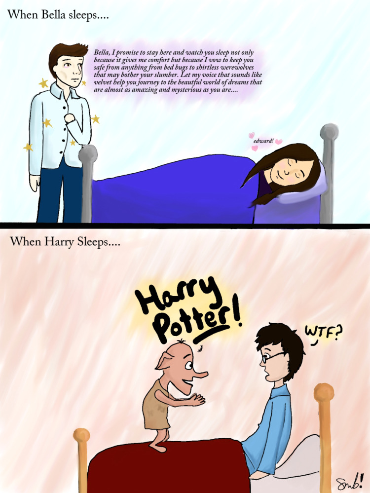 sleep Twilight v. Harry Potter