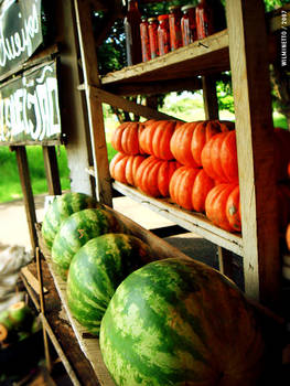 Watermelon, pumpkin and road