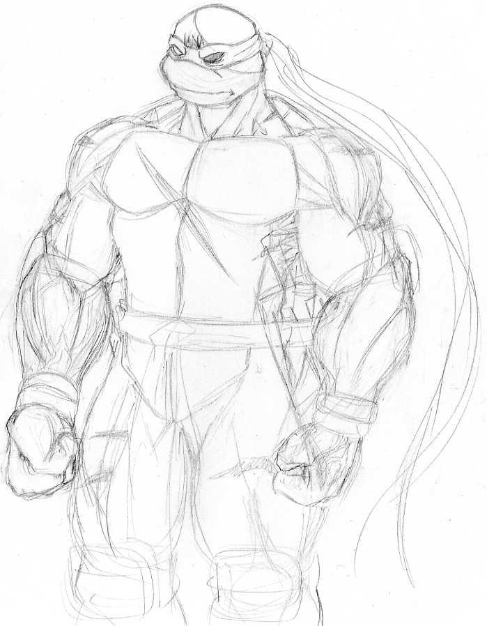 Raphael muscle structure by Tigerfog on DeviantArt