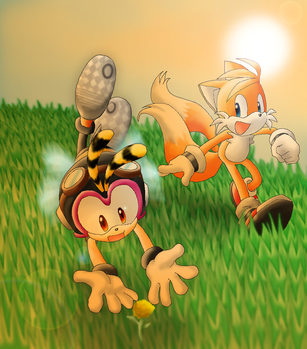 Tails and Charmy-Sunset flower