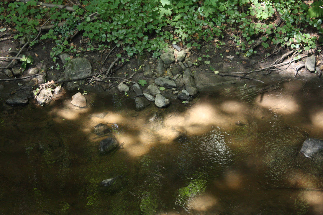 Shiny river by BloodyMateyl on DeviantArt