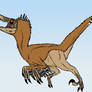 Velociraptor