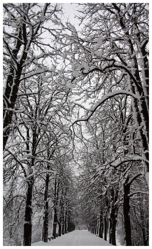 Snow Cathedral