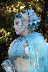 Blue Faerie Profile