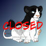 Black and White Adopt - CLOSED -