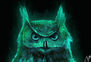 Sage the Moonlight Owl