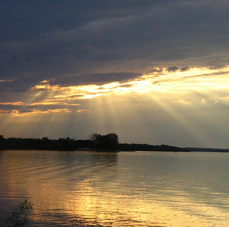 Great Rays Golden Rays by GreatAwakener on DeviantArt
