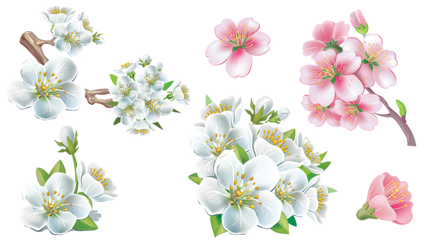 Bonus Flower Sakura