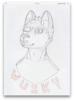 [Bust Commission] Wusky Dingo