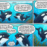 About us, humans... 7