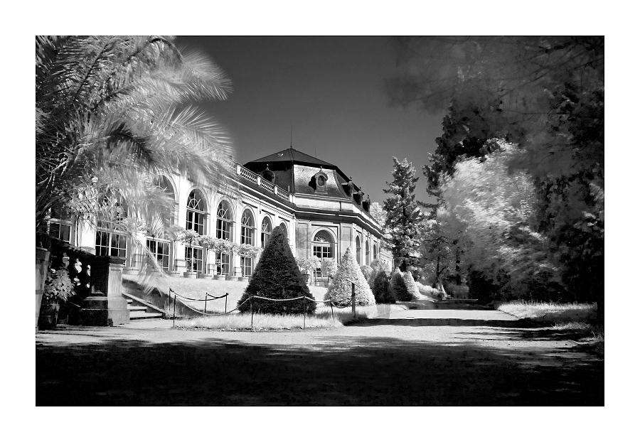 Pillnitz in Dresden in IR 2