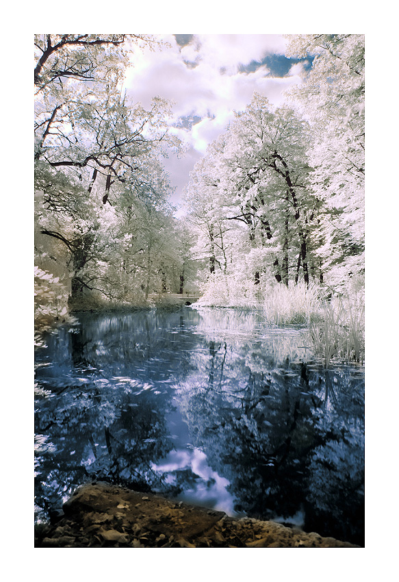 Infrared in autumn Channelshif